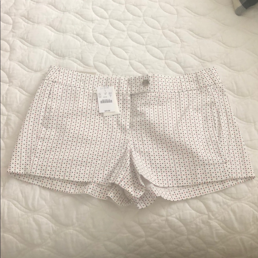 Red, White, and Blue J.Crew Shorts